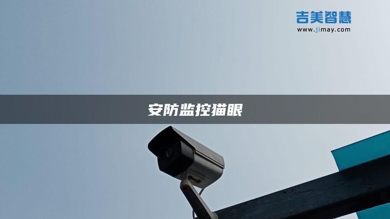 车牌识别系统加盟代理：揭秘加盟背后的技术逻辑与市场机遇**